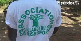 Bignona/Forum Dialankine-Consolider la paix et promouvoir le Développement dans le Fogny