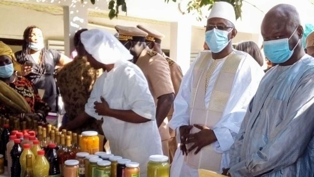 Ziguinchor: Economie – Enfin une unité de traitement des noix d’anacarde à Ziguinchor