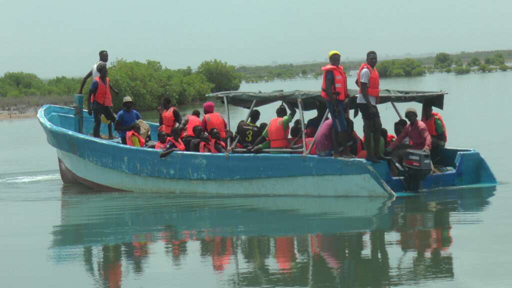 Coubalan/Reboisement : Plus de 3000 ha à restaurer en Casamance avec le projet Manko pour booster le développement