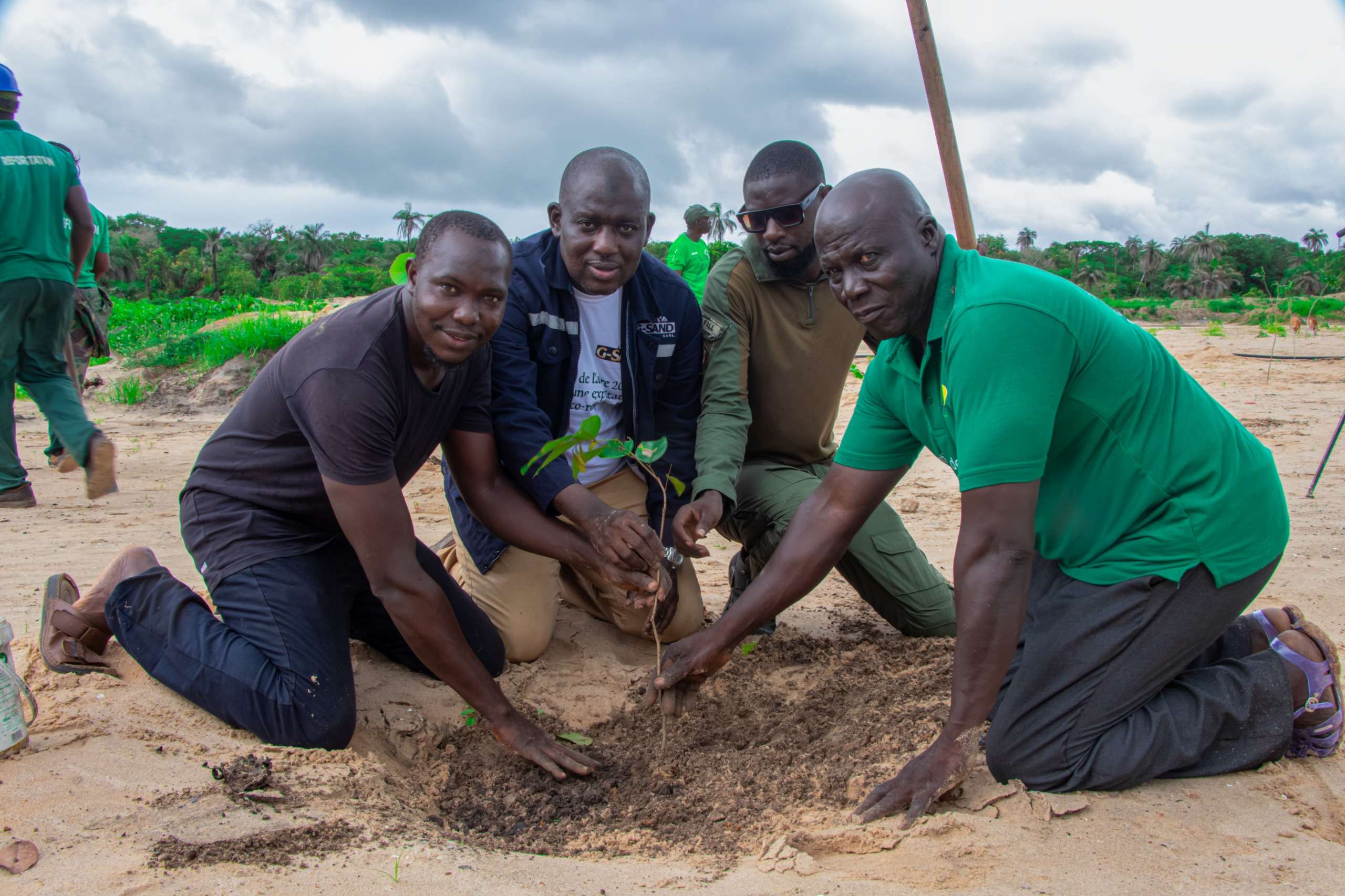 Abéné/Reboisement : La Société G-Sand concilie exploitation minière et développement durable